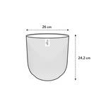 jazz rond 26cm blanc soie